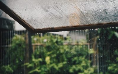 Hoe kun jij een beregeningsplan opzetten?