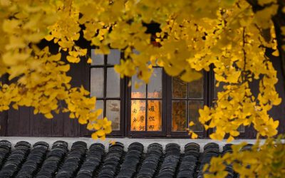 Wat de voordelen zijn van samenwerken met een ervaren dakdekkersbedrijf