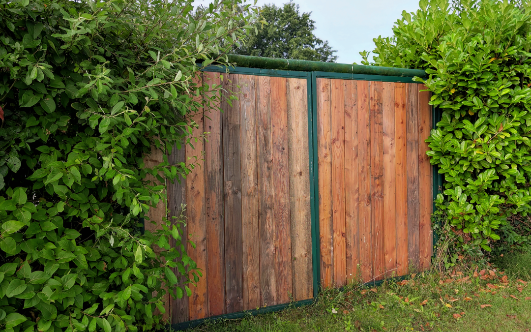 A wooden garden gate framed by vibrant green foliage under a clear sky.