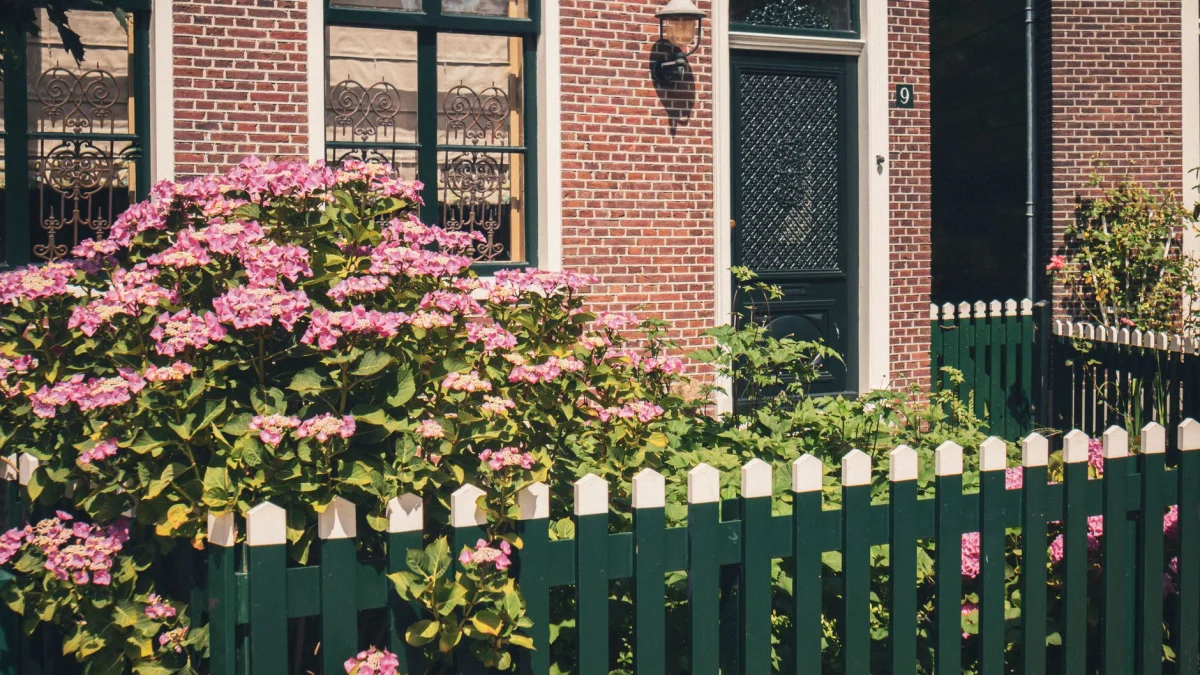 5 tips voor het voorjaarsonderhoud van jouw tuin: wat kun je zelf doen en wat laat je over aan de professional?
