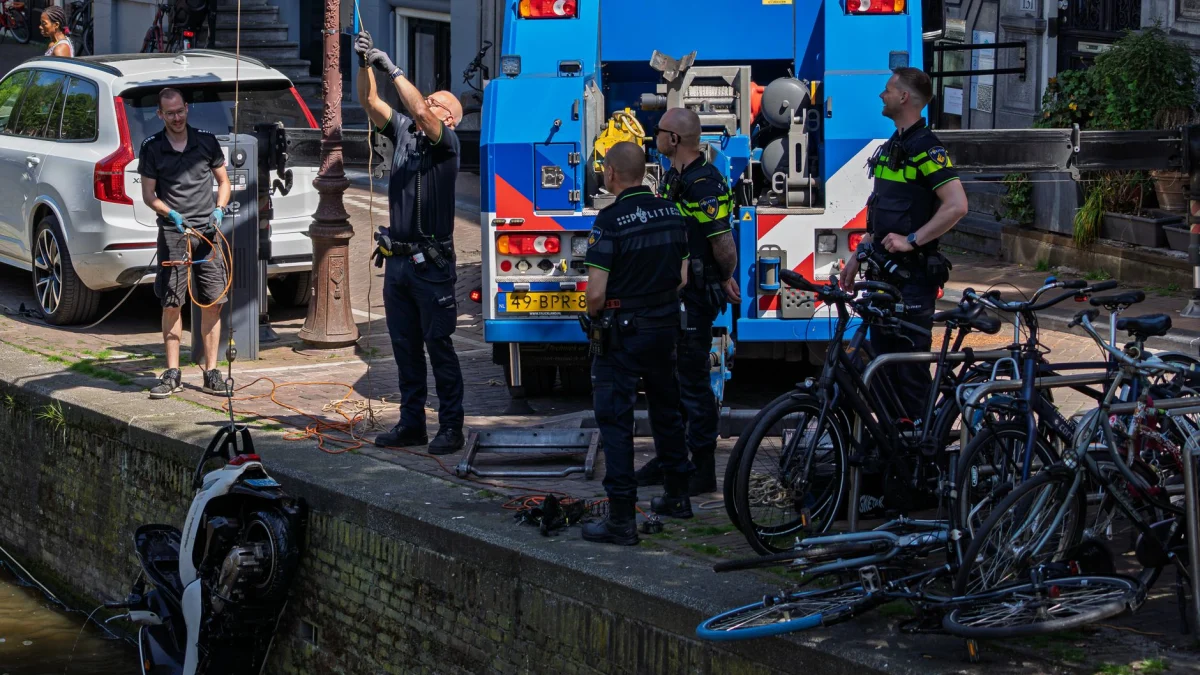 Waarom zou je een hovenier moeten inschakelen?